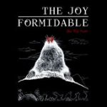 Anemone – The Joy Formidable