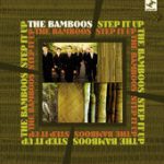 Step It Up – The Bamboos