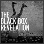 I Think I Like You – Black Box Revelation