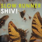 The Usual Chords – Slow Runner
