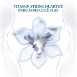 Yellow – Vitamin String Quartet