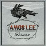 Flower – Amos Lee