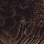 Vultures – Sennen