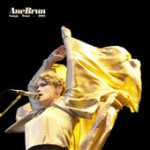 The Light from One – Ane Brun