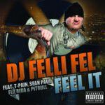 Feel It (feat. T-Pain, Sean Paul, Flo Rida & Pitbull) – DJ Felli Fel