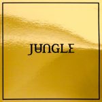The Heat – Jungle