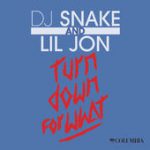 Turn Down For What – DJ Snake & Lil Jon