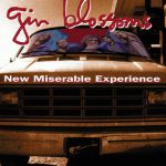 Found Out About You – Gin Blossoms
