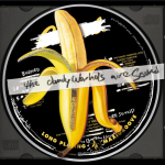 We Used to Be Friends – The Dandy Warhols