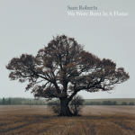 No Sleep – Sam Roberts