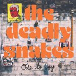 Everybody Seems to Think (You’ve Got Some Kind of Hold On Me) – Deadly Snakes