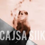 Talk To Trees – Cajsa Siik