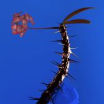 Weekend (feat. Moses Sumney) – Flume